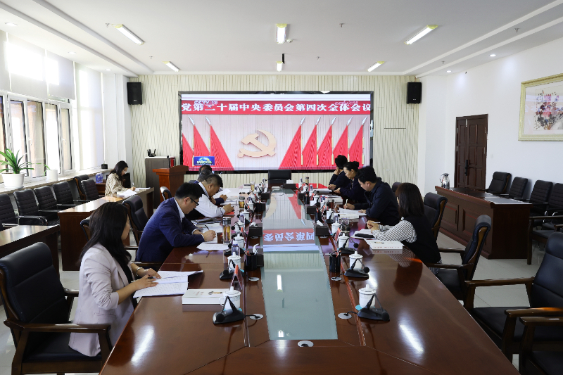 党委理论学习中心组学习.jpg